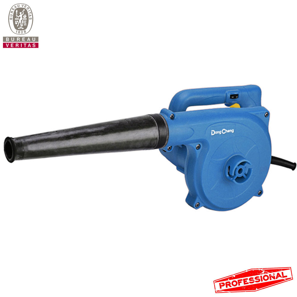 Sopladora Eléctrica Profesional DQF32 | 680w 16300rpm